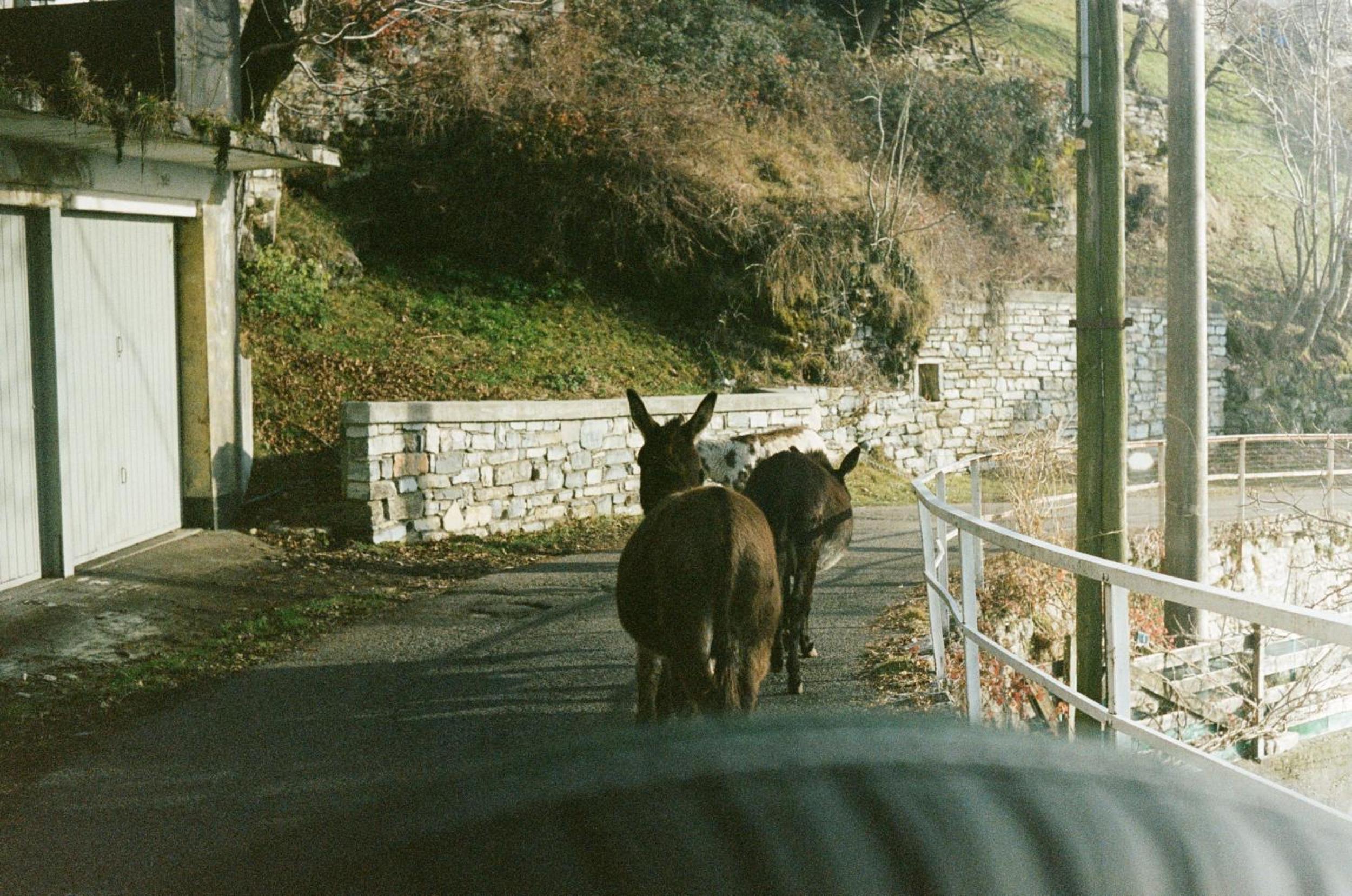 Ca' Bossi view 5