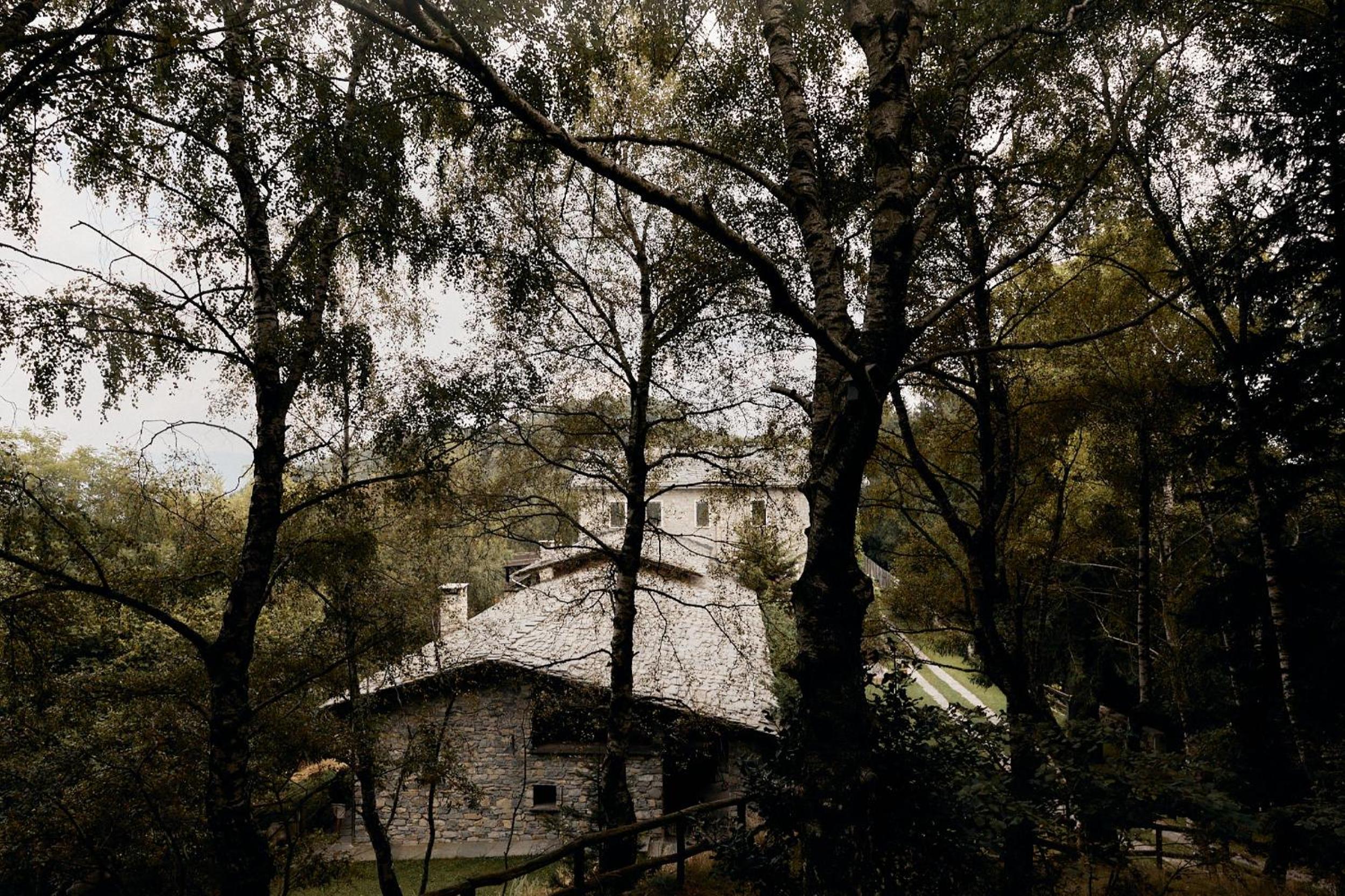 Photo 11
