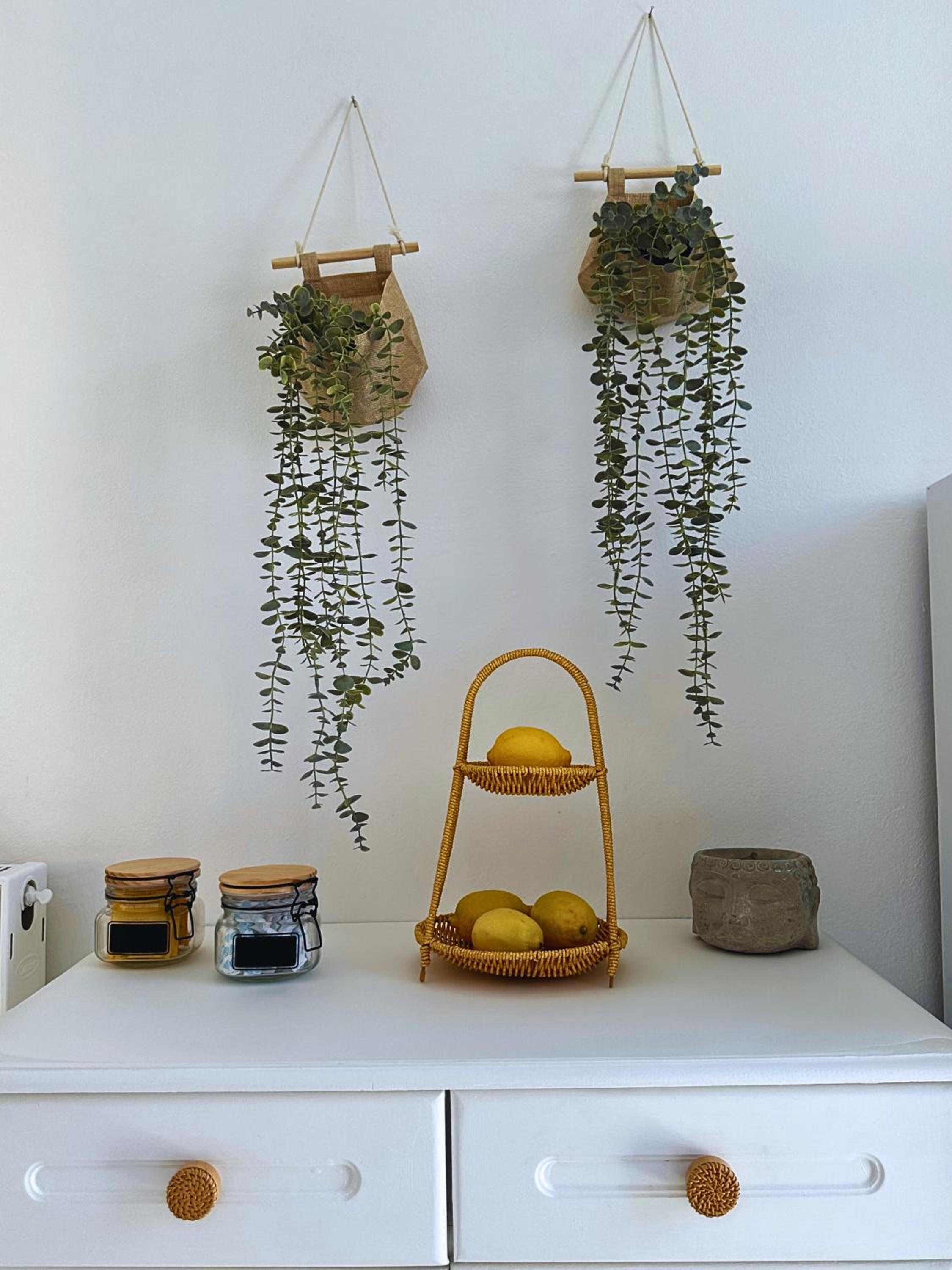 Lydias apartment