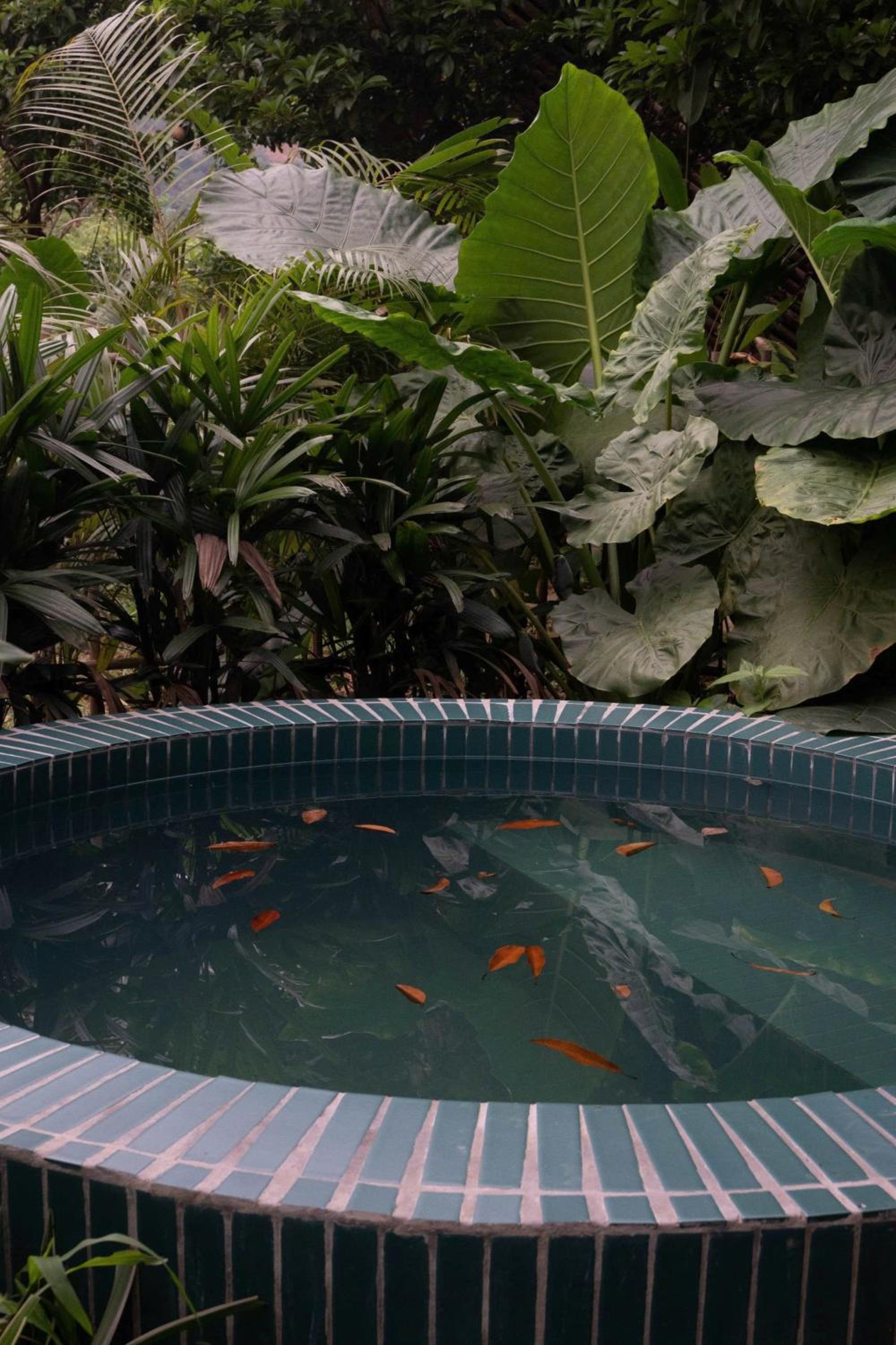 XIEM homestay