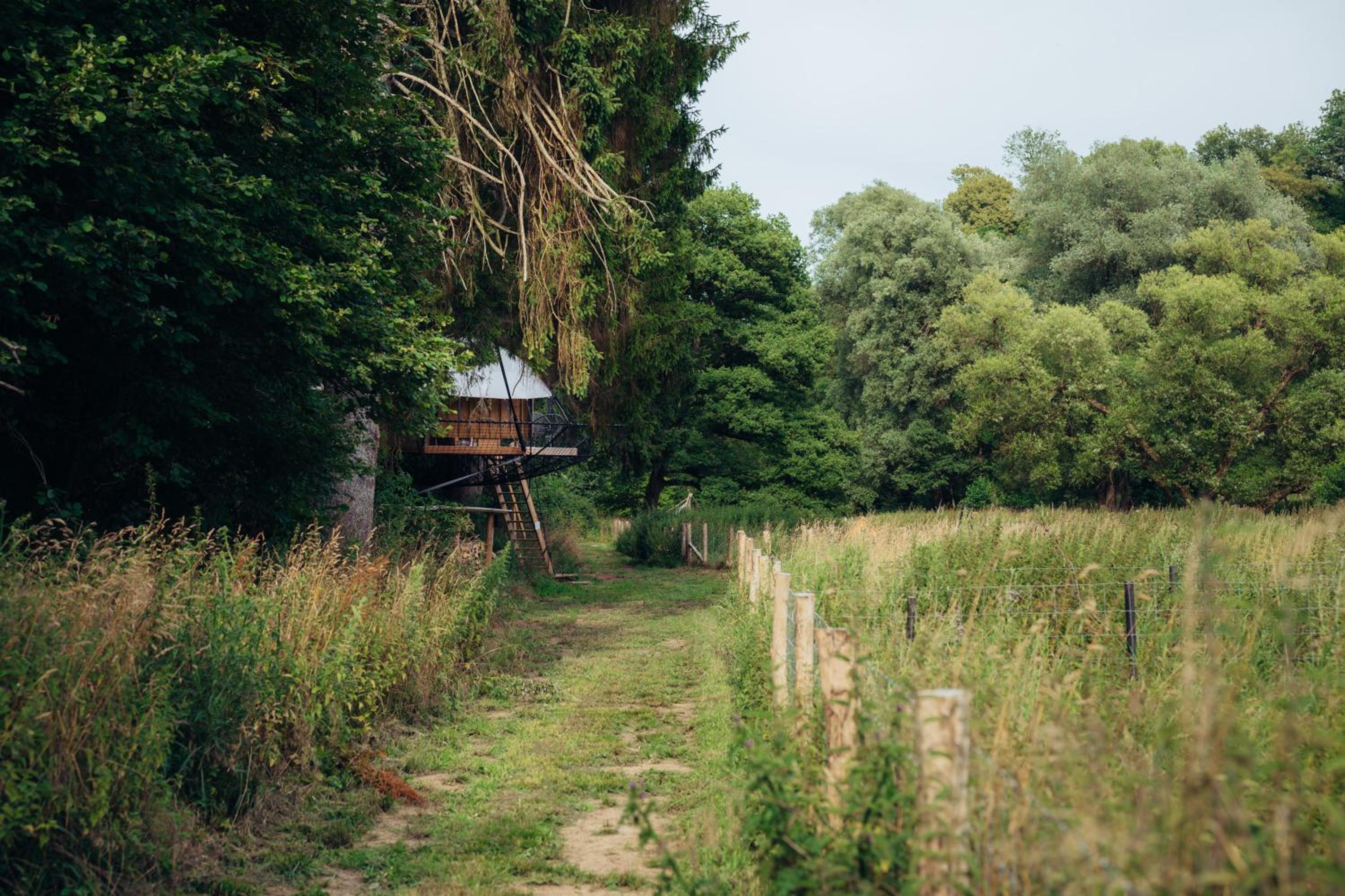 Les Nids du Domaine du Château de Pailhe