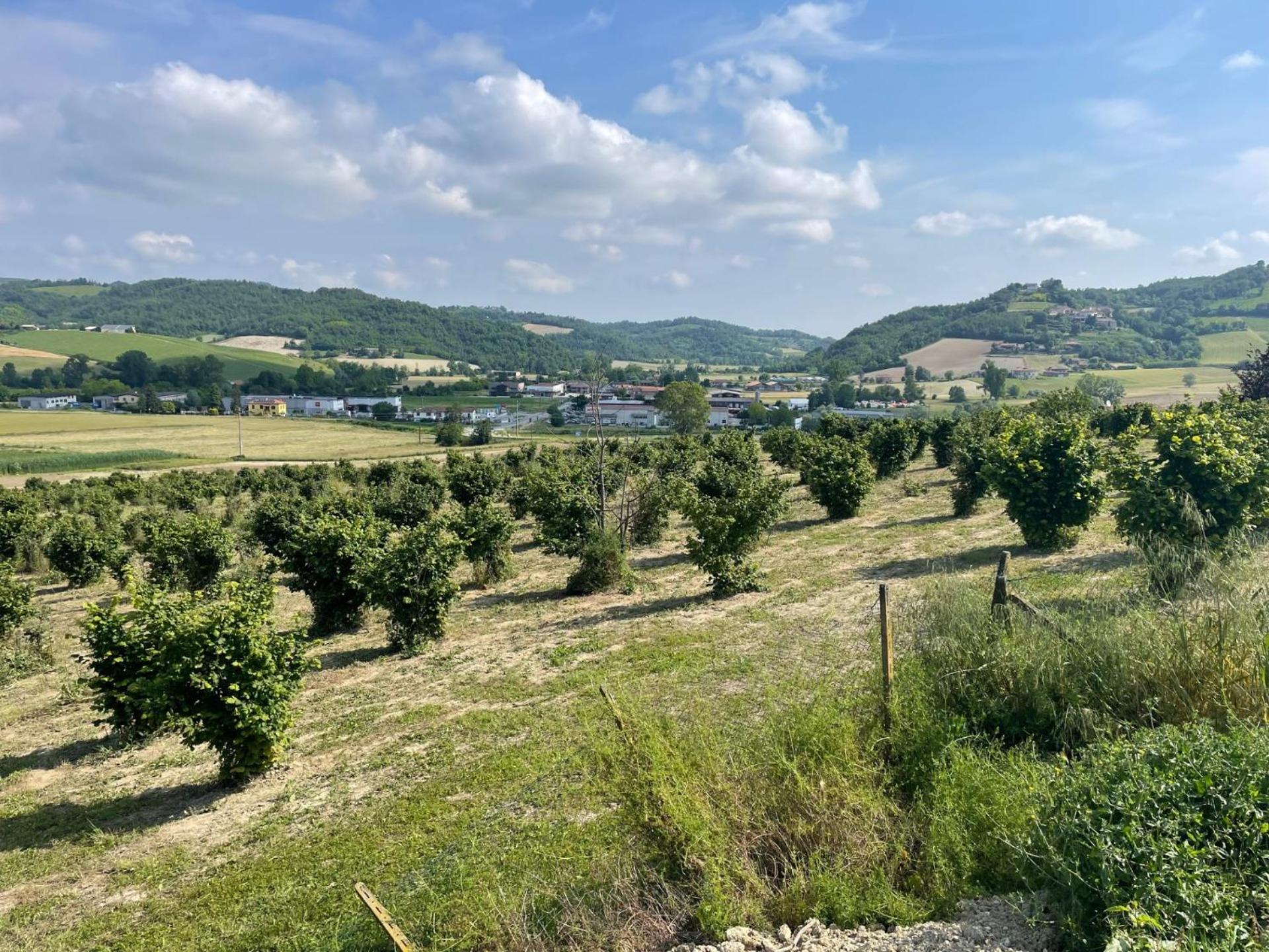Acero Rosso view 2