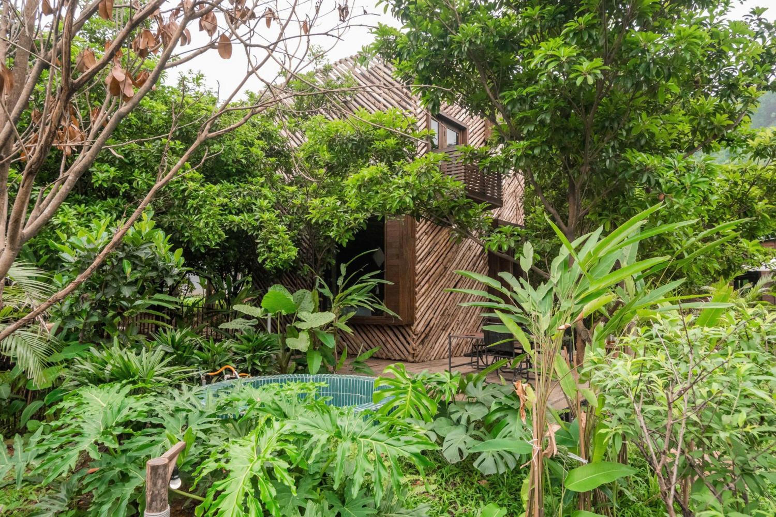 XIEM homestay
