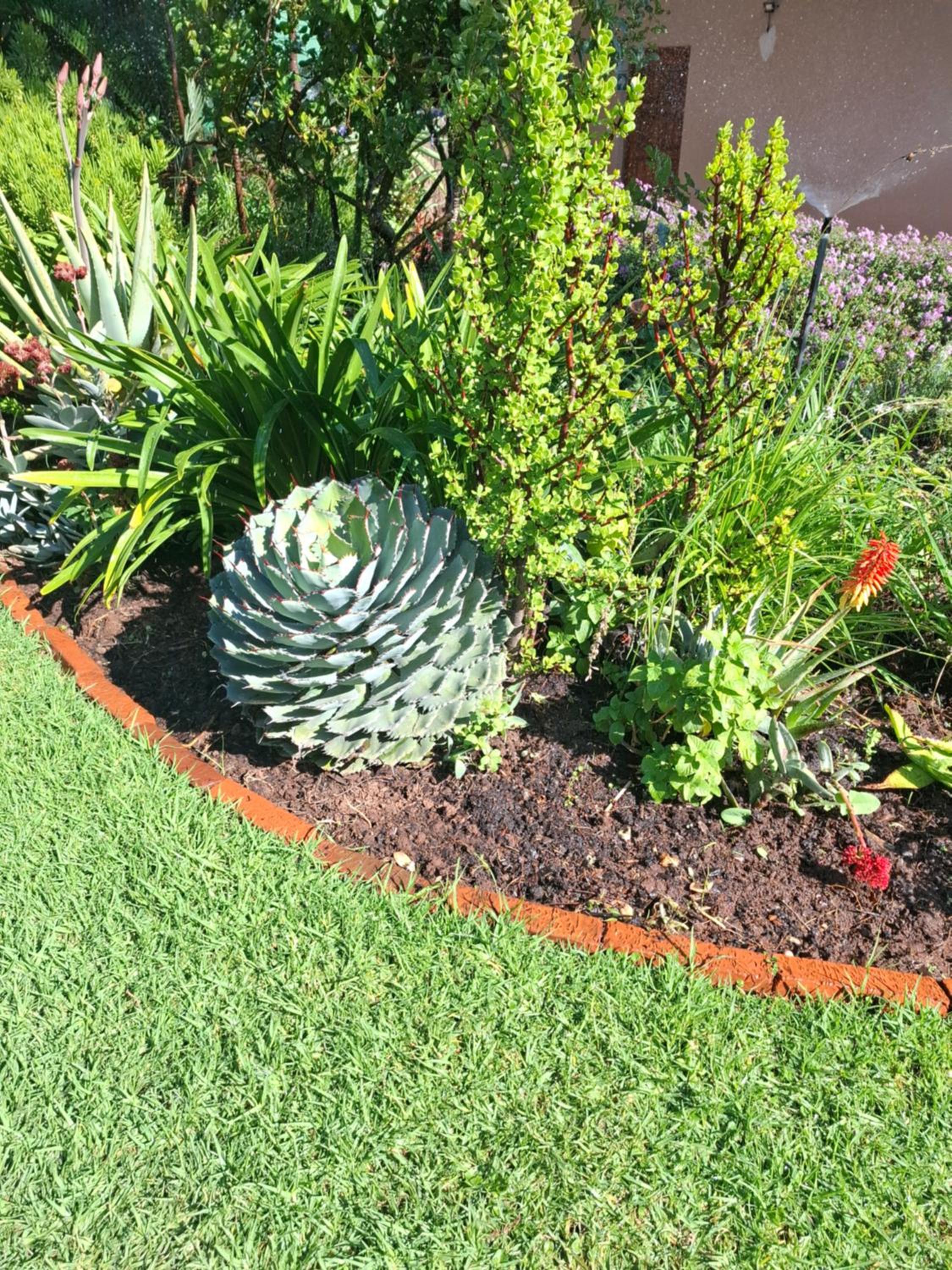 Villa54, Sandton