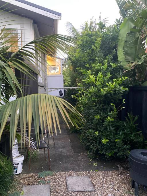 Garden paradise in Pt Chev view 2