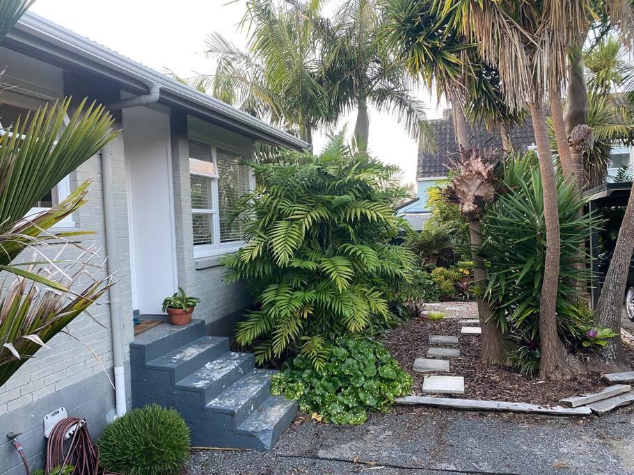 Garden paradise in Pt Chev view 4
