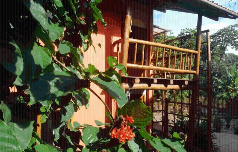 Photo 51