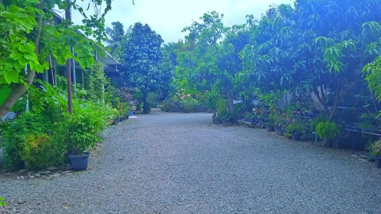 HOTEL ANANDA view 3