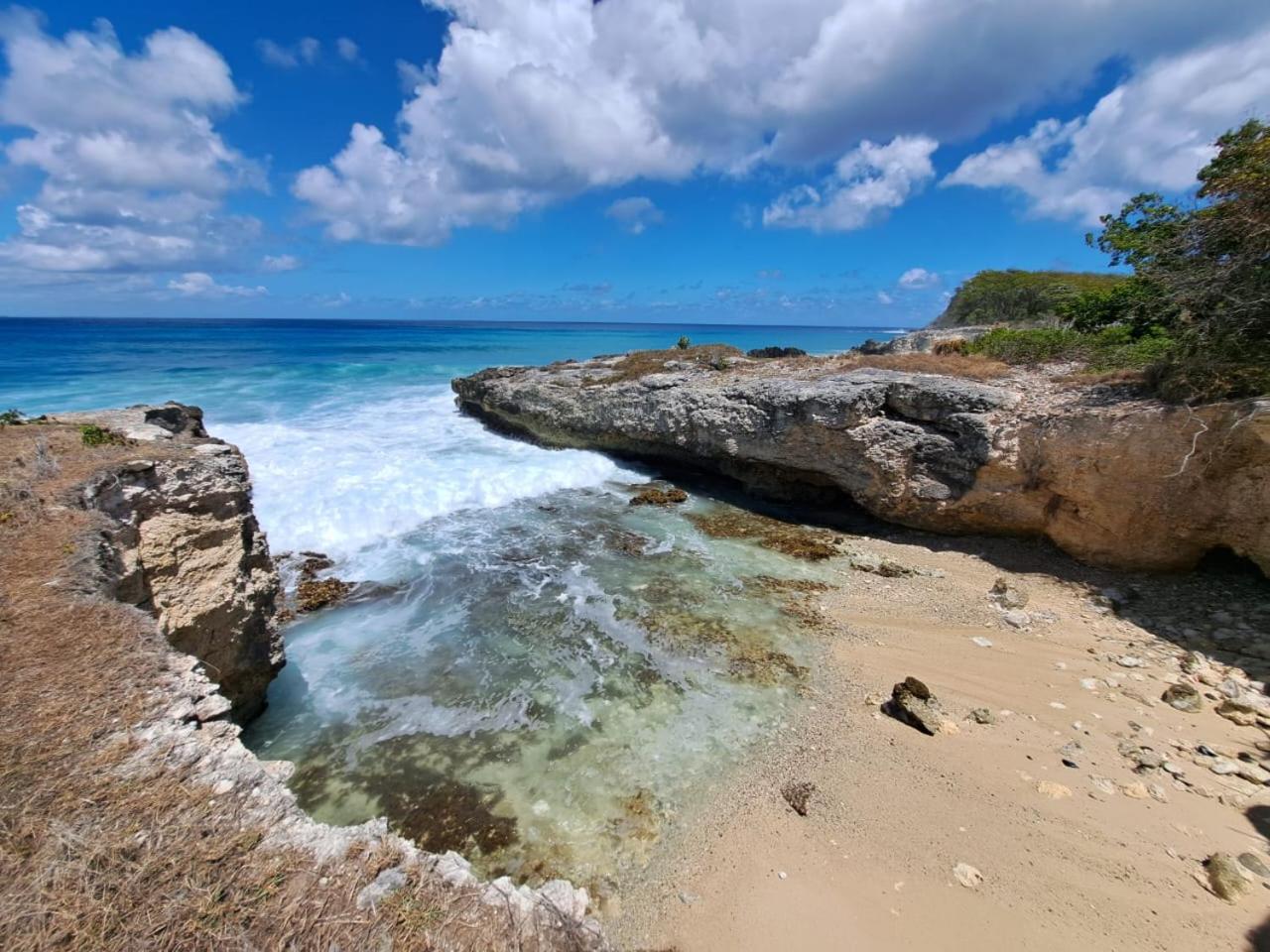 Beau studio lumineux vue mer accès plage et piscine
