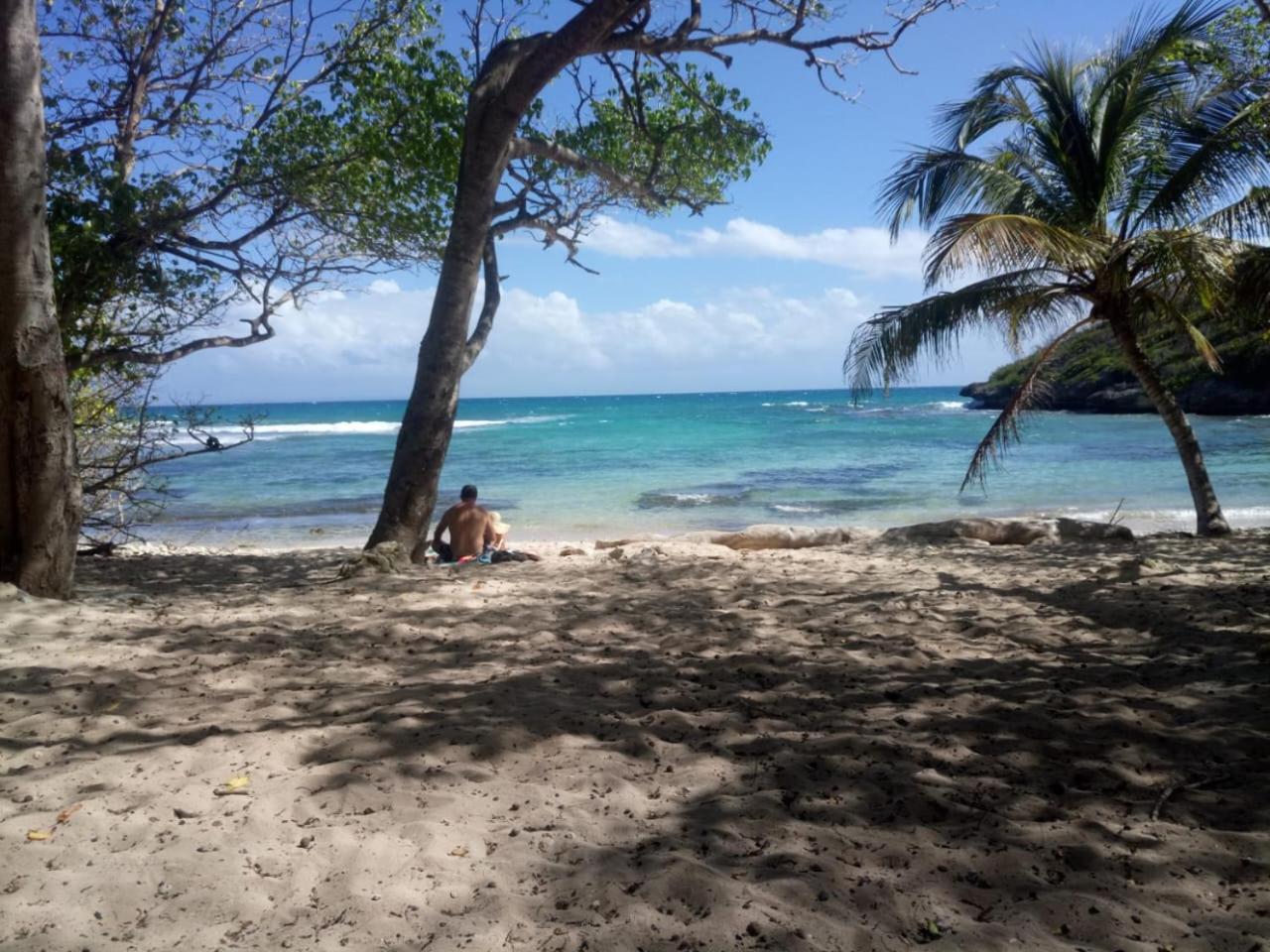 Beau studio lumineux vue mer accès plage et piscine