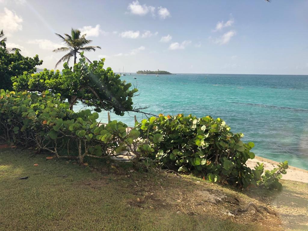 Beau studio lumineux vue mer accès plage et piscine
