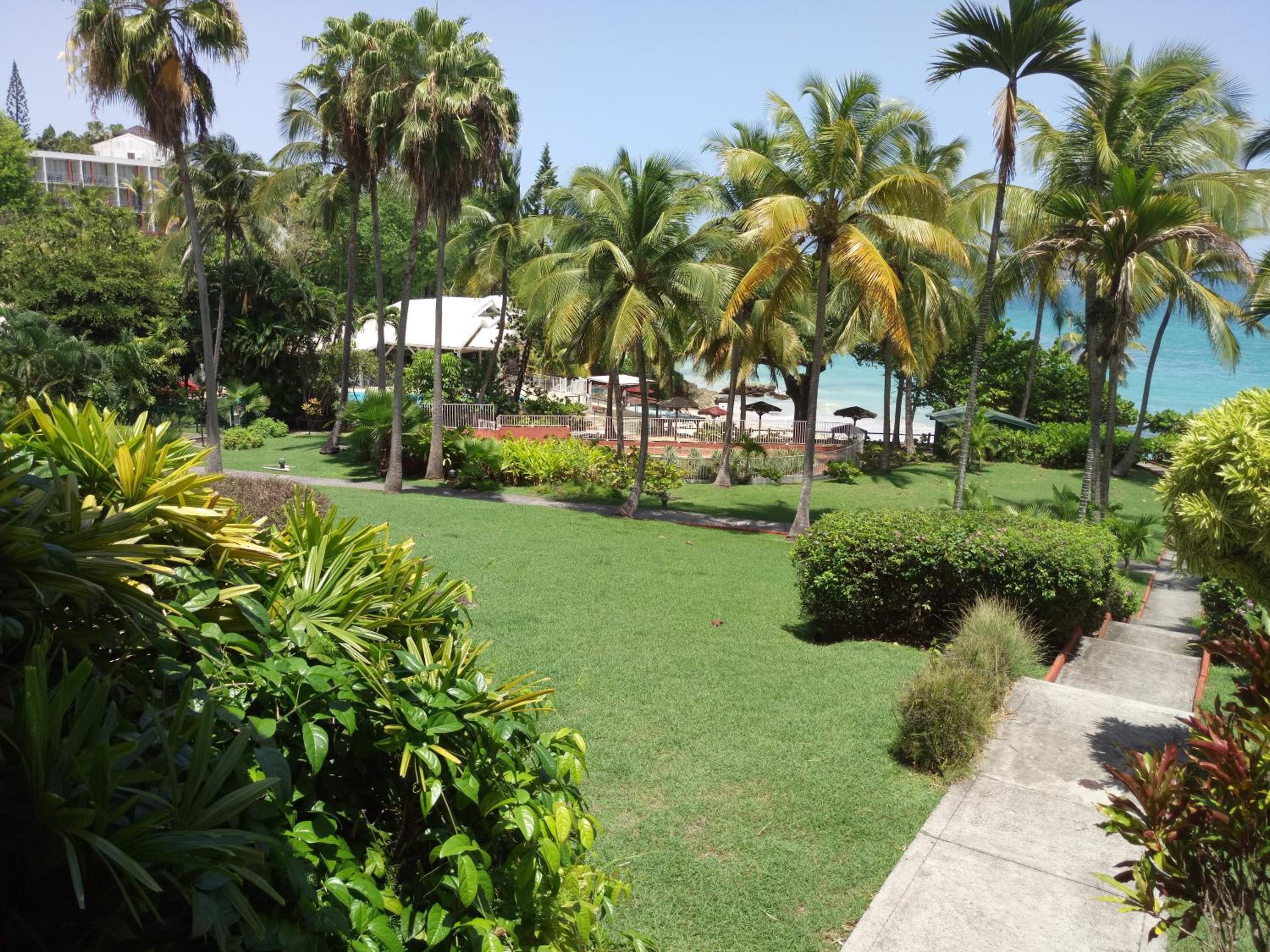 Beau studio lumineux vue mer accès plage et piscine