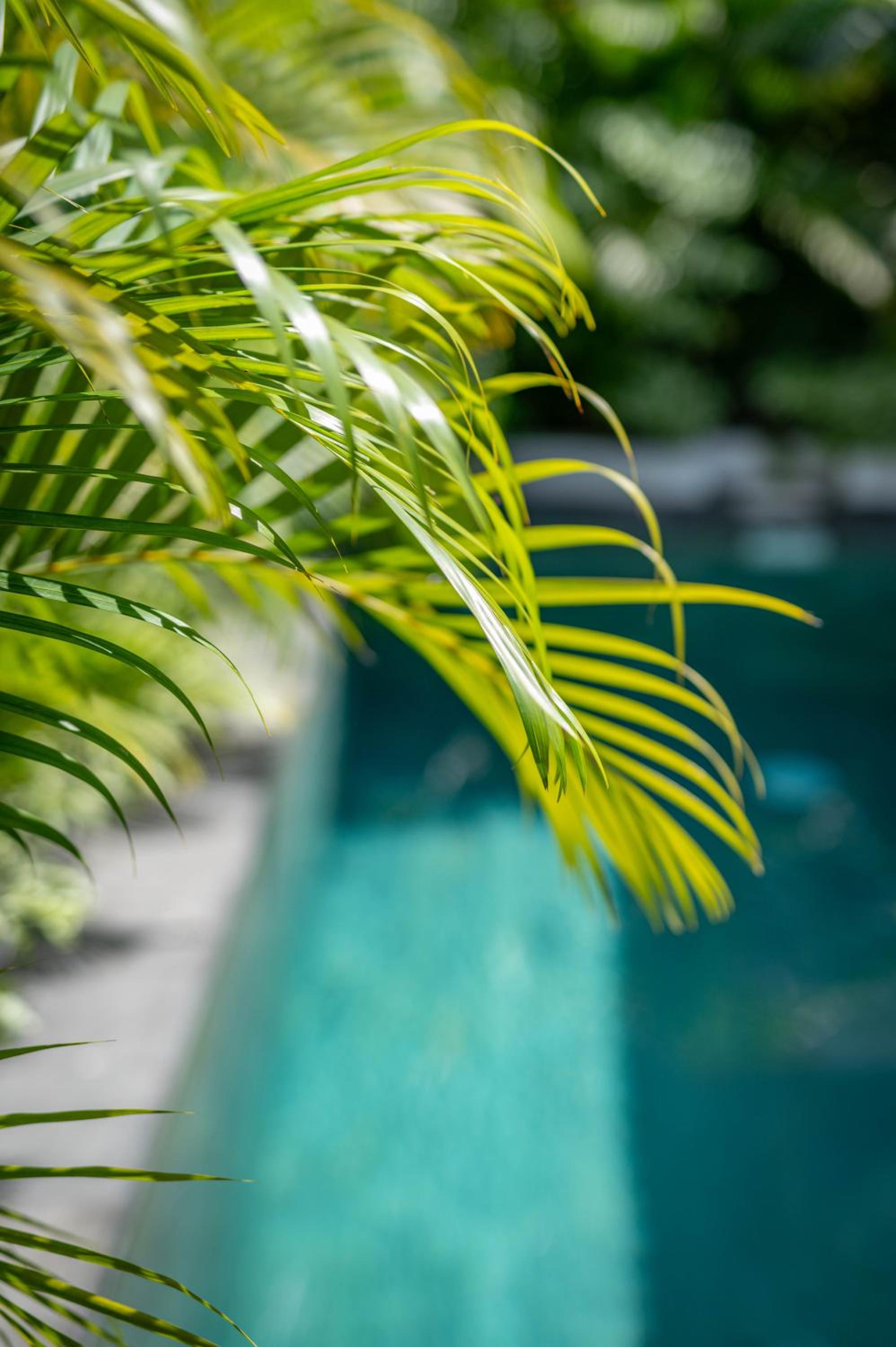 Jezica Guesthouse — recepcion & lobby