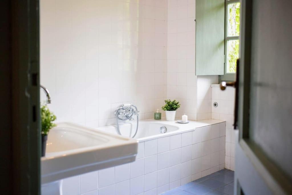 Photo 64
