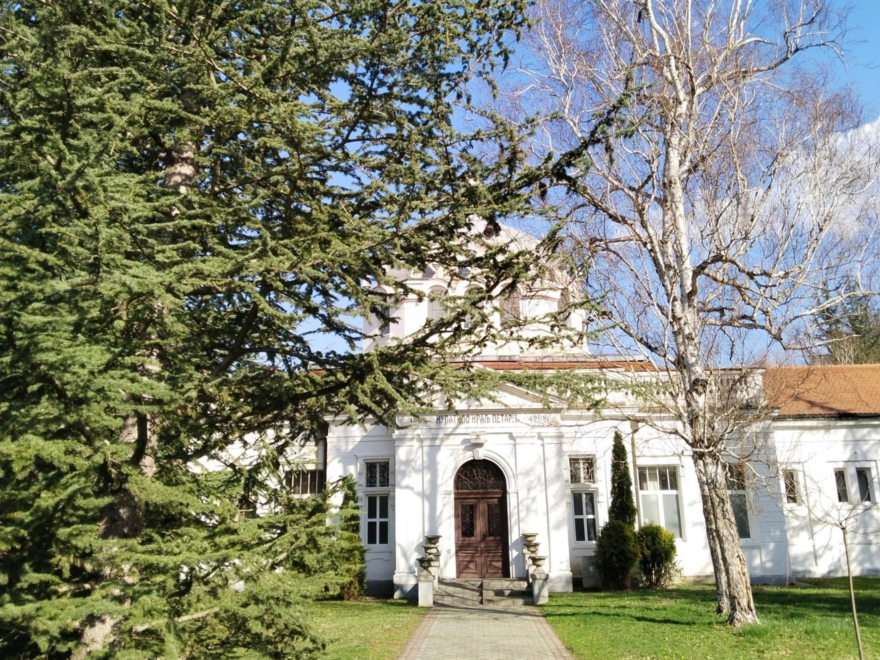 Photo 16