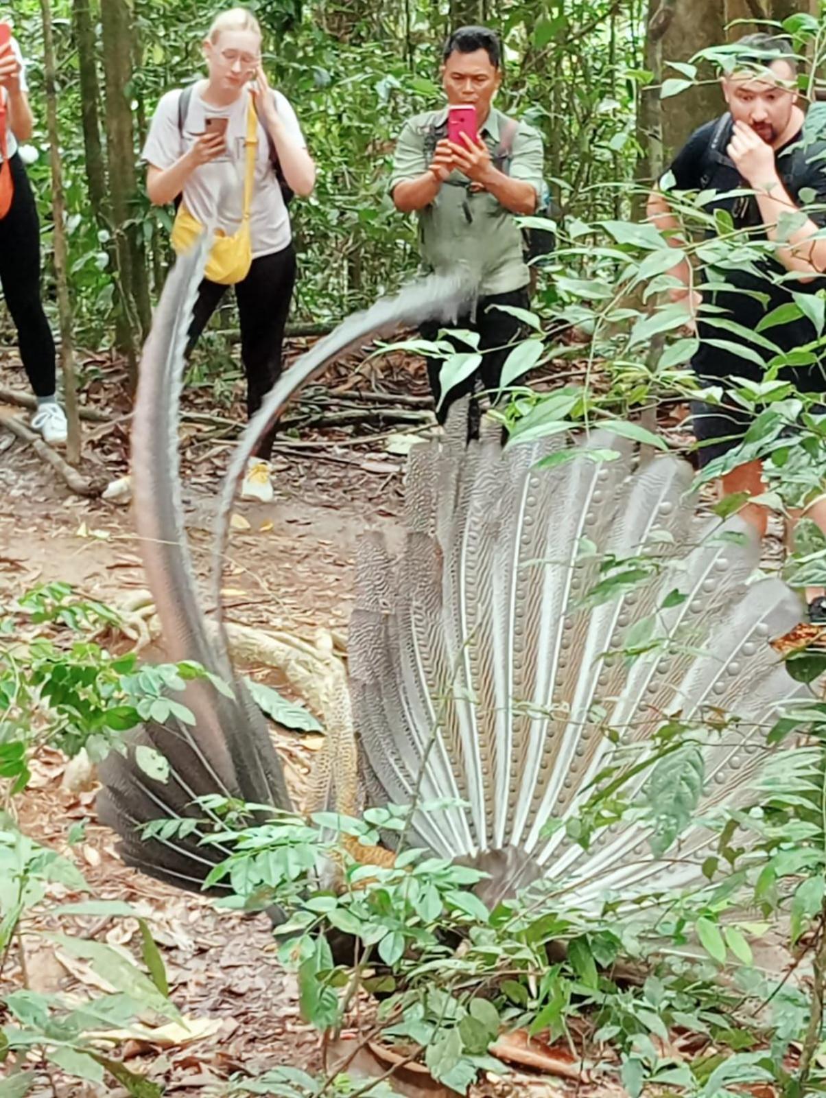 Bukit Lawang Backpacker JungleTrekking Only Booking with us view 5