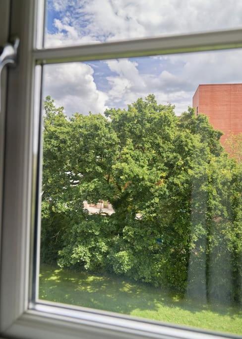 Modern 2 Bedroom Wokingham Apartment, En Suite, Free WiFi, On Site Parking, Guests 4, photo 12