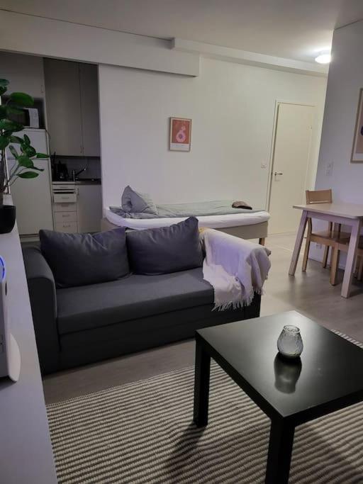 Cozy apartment in Kemi City