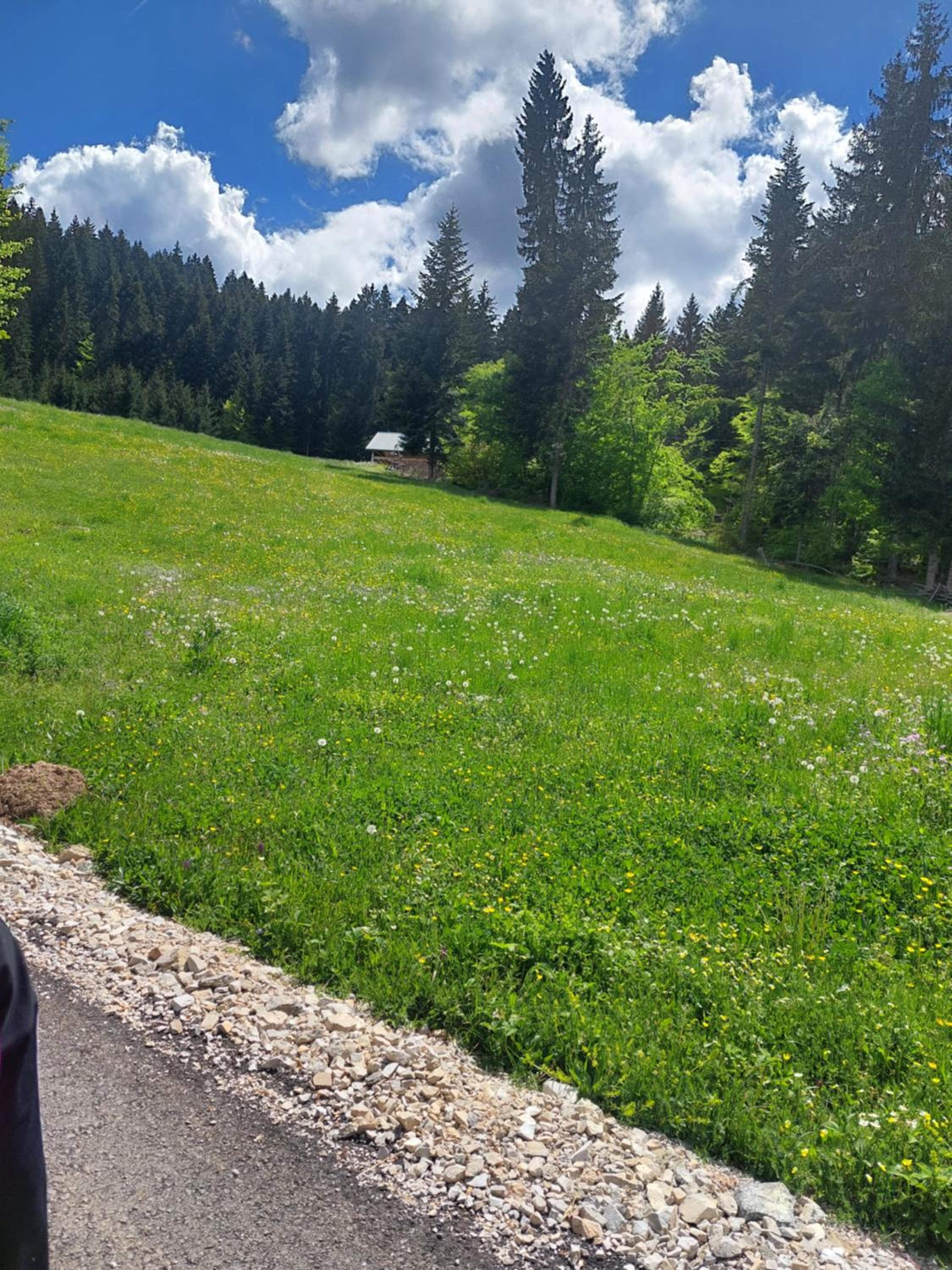 Cottages Kriva Breza