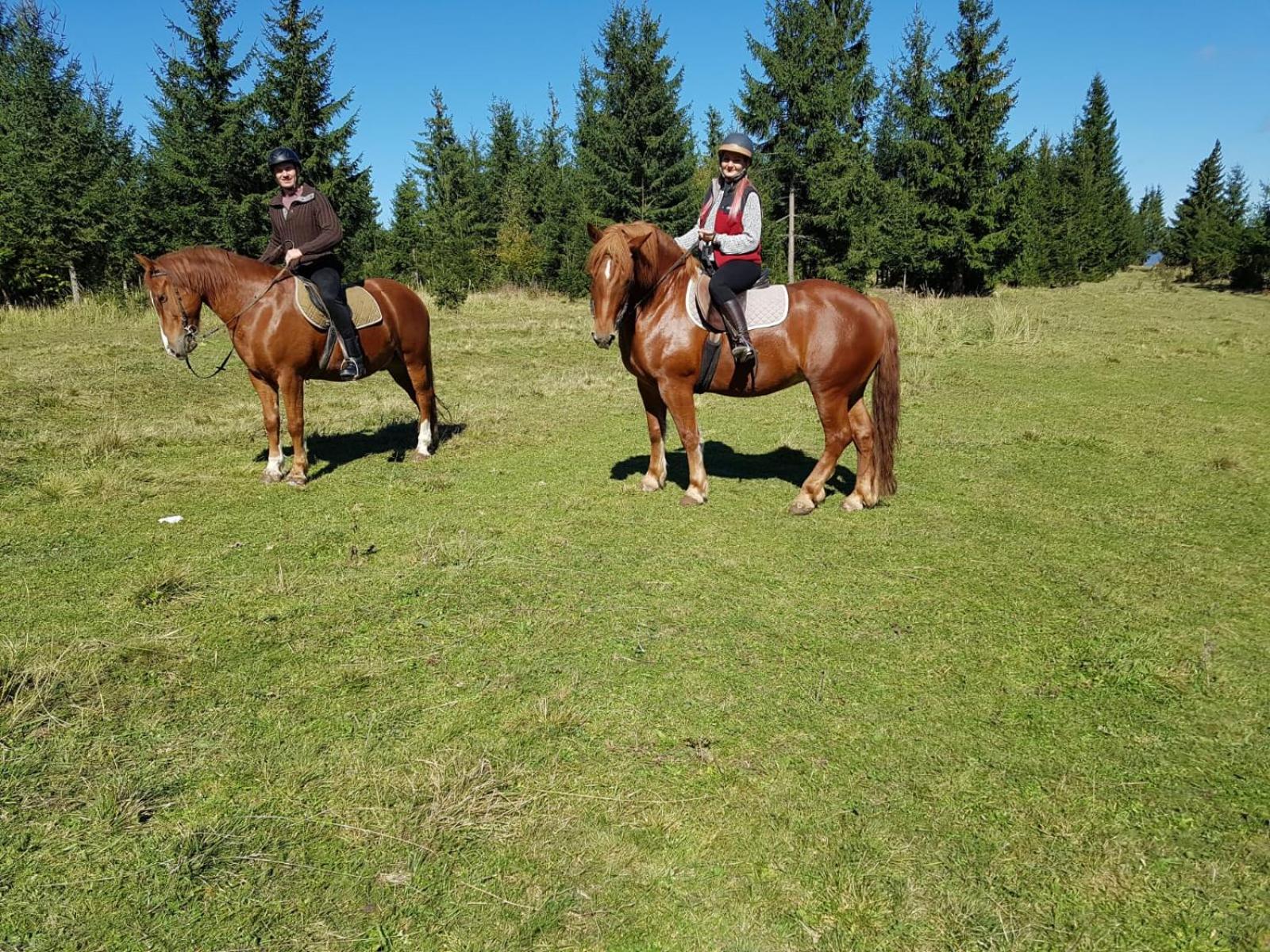 Cabana Natura Toplița