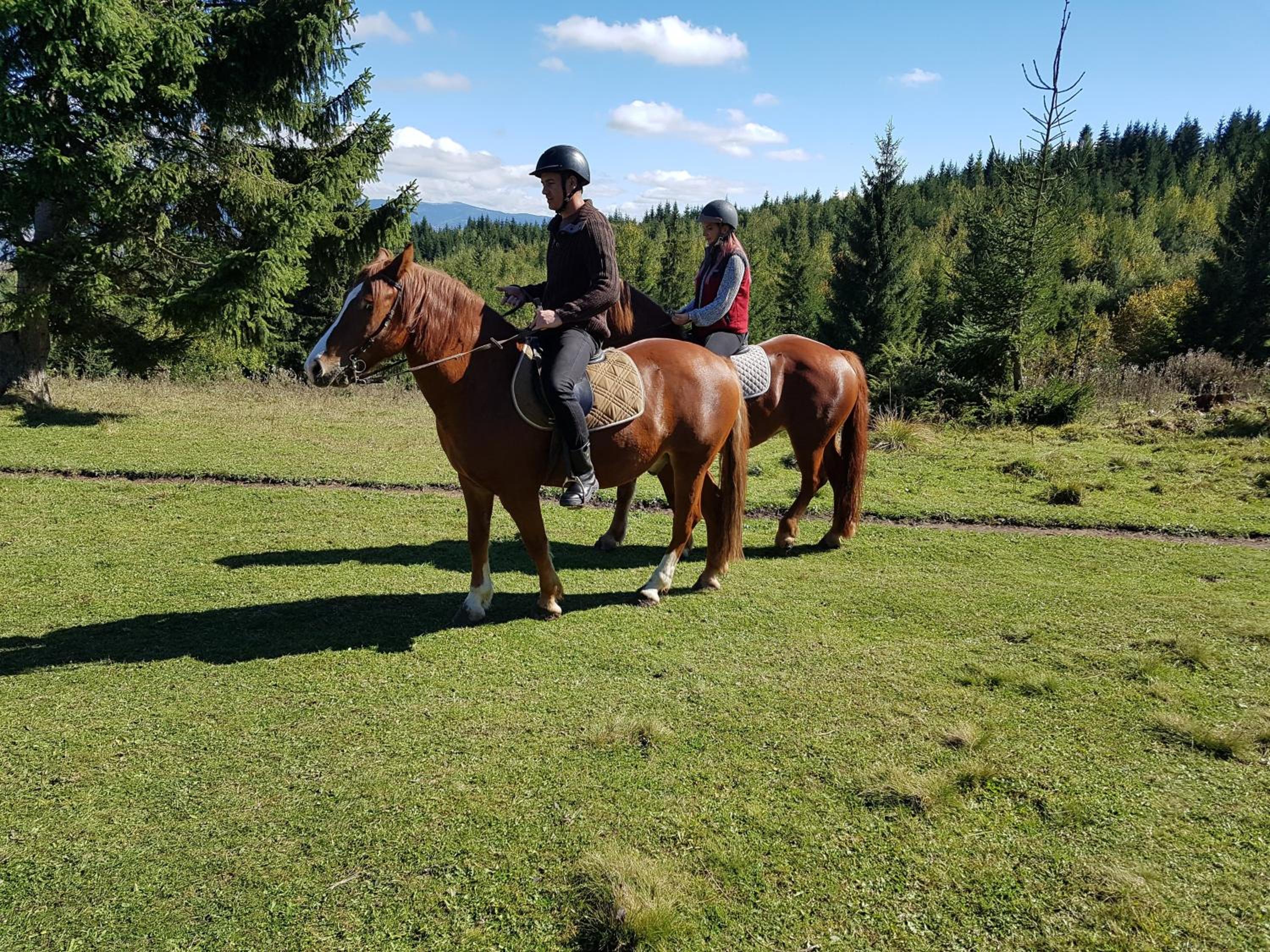 Cabana Natura Toplița