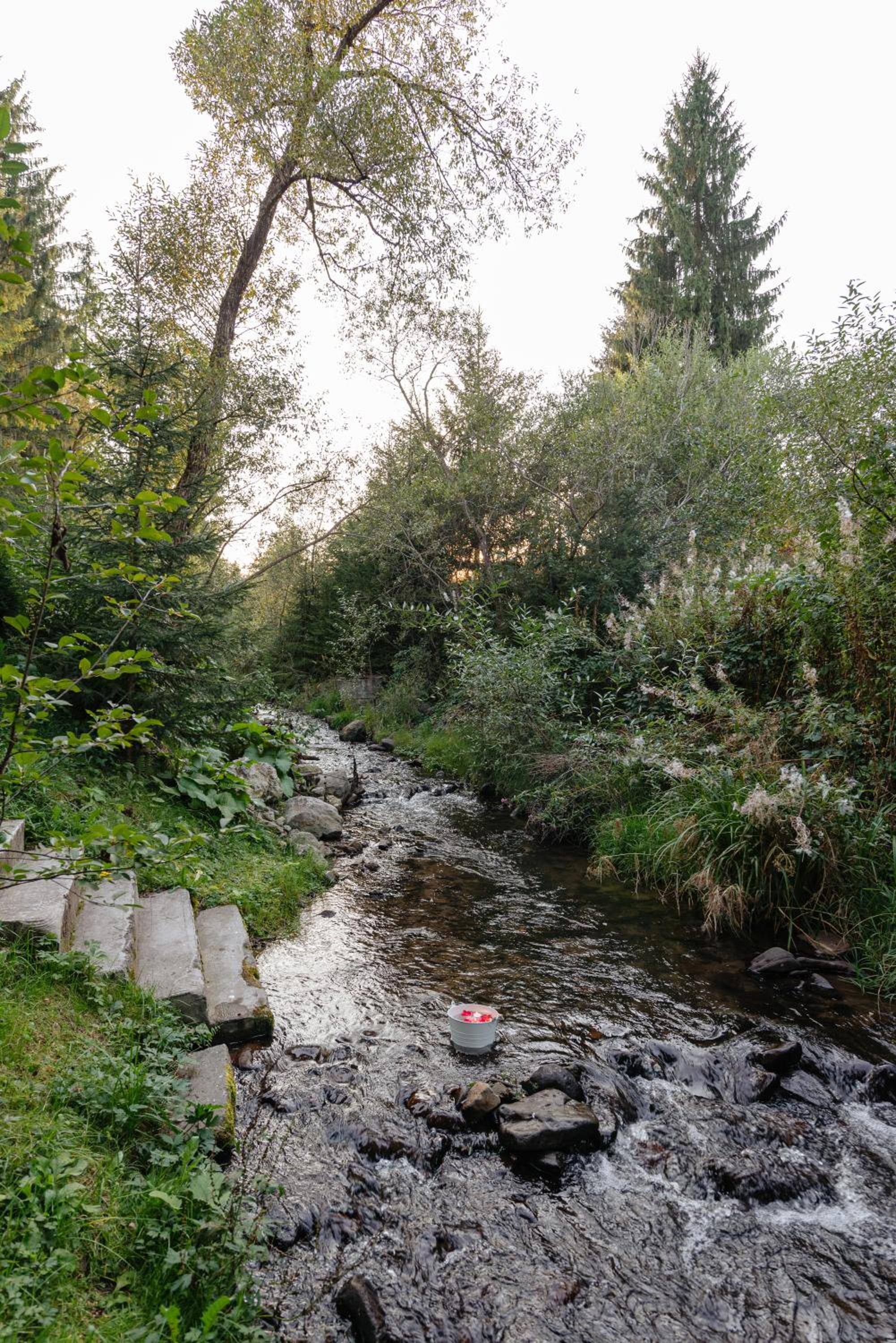 Cabana Natura Toplița