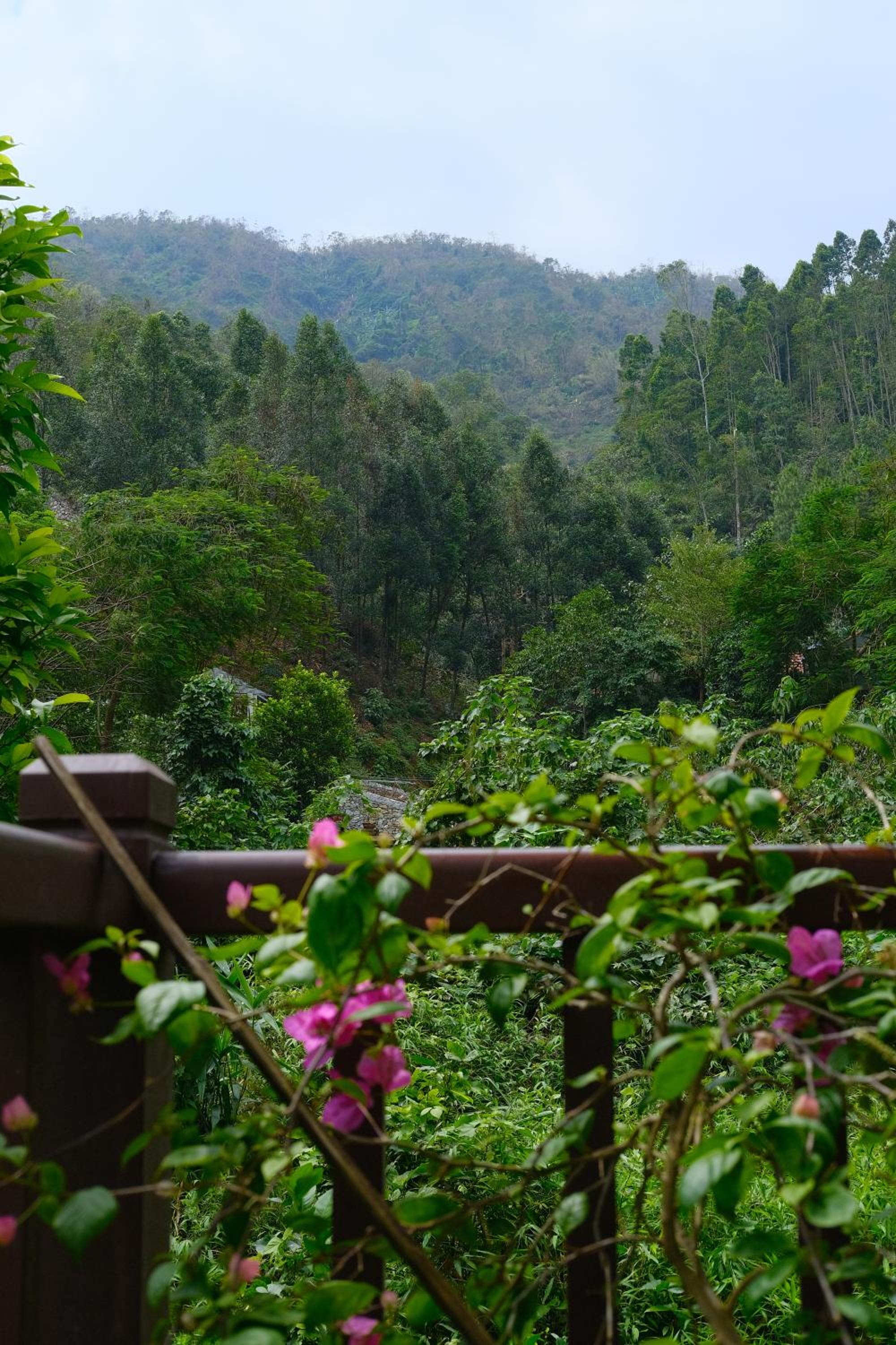 Leela House, near Bavi, Hanoi, Mountain view, Riverside view 2