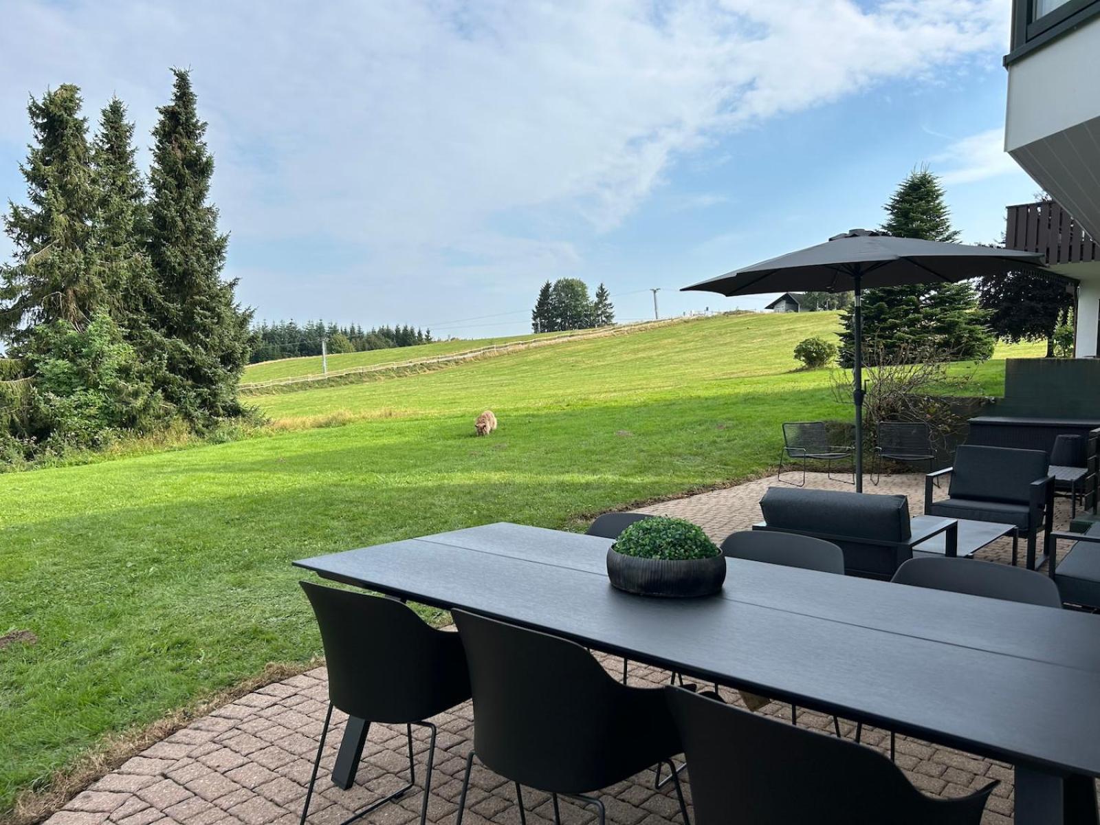 Romantikchalet Neuastenberg/Winterberg