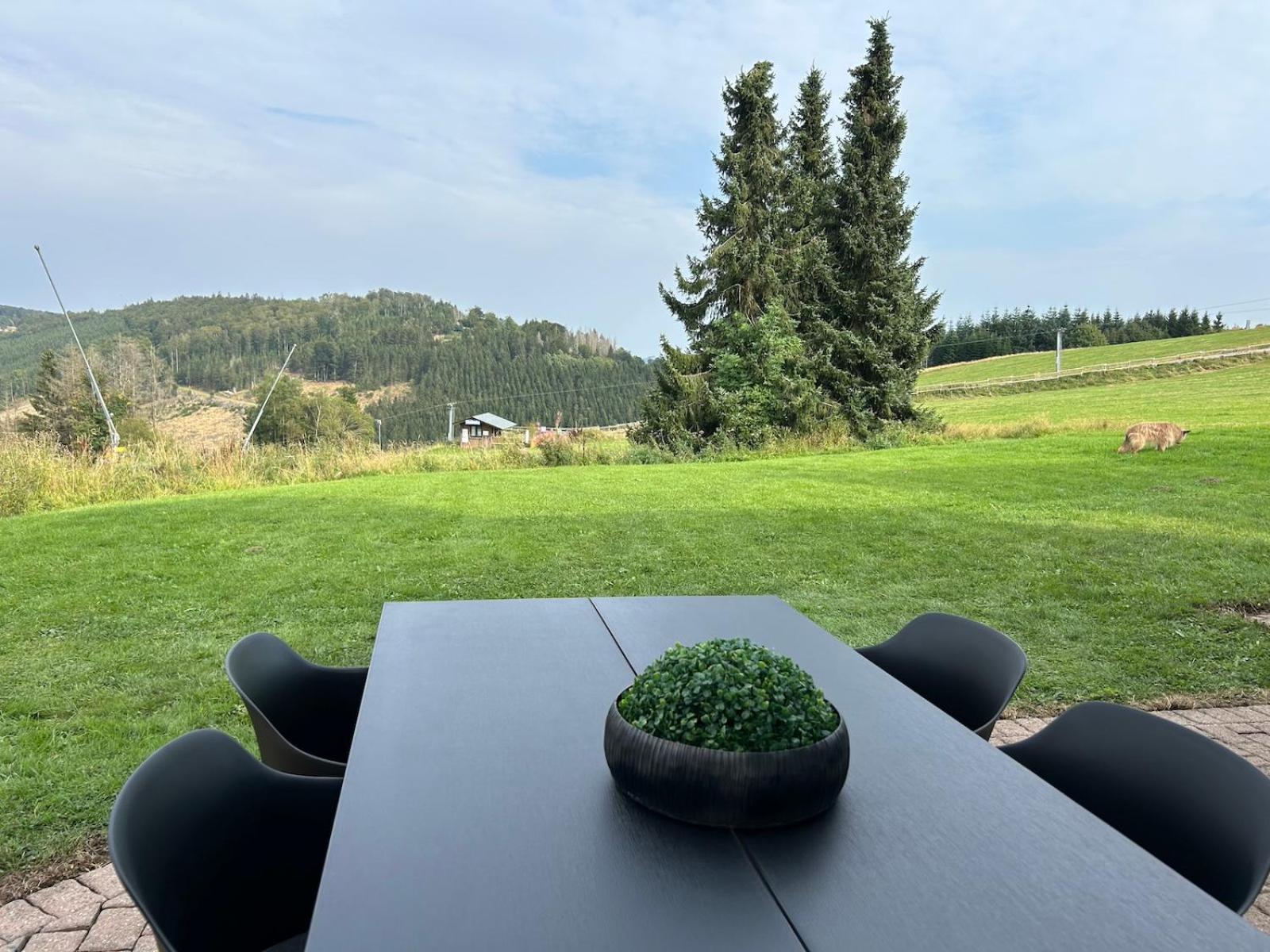 Romantikchalet Neuastenberg/Winterberg