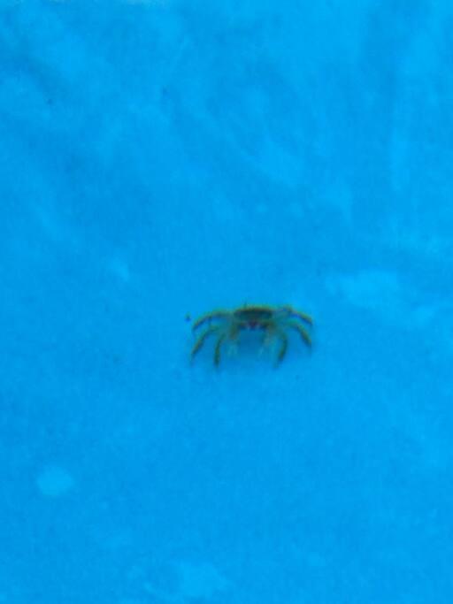Photo 40