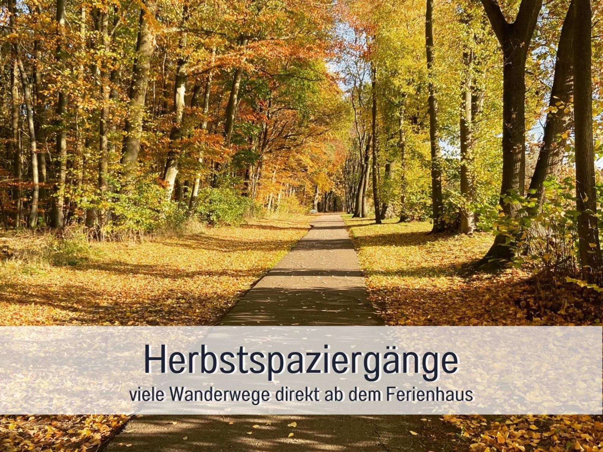 Strandhaus Mathea - ruhige Lage direkt am Fleesensee - Parkplatz, Kamin, Sauna - familienfreundlich - Property Image 15