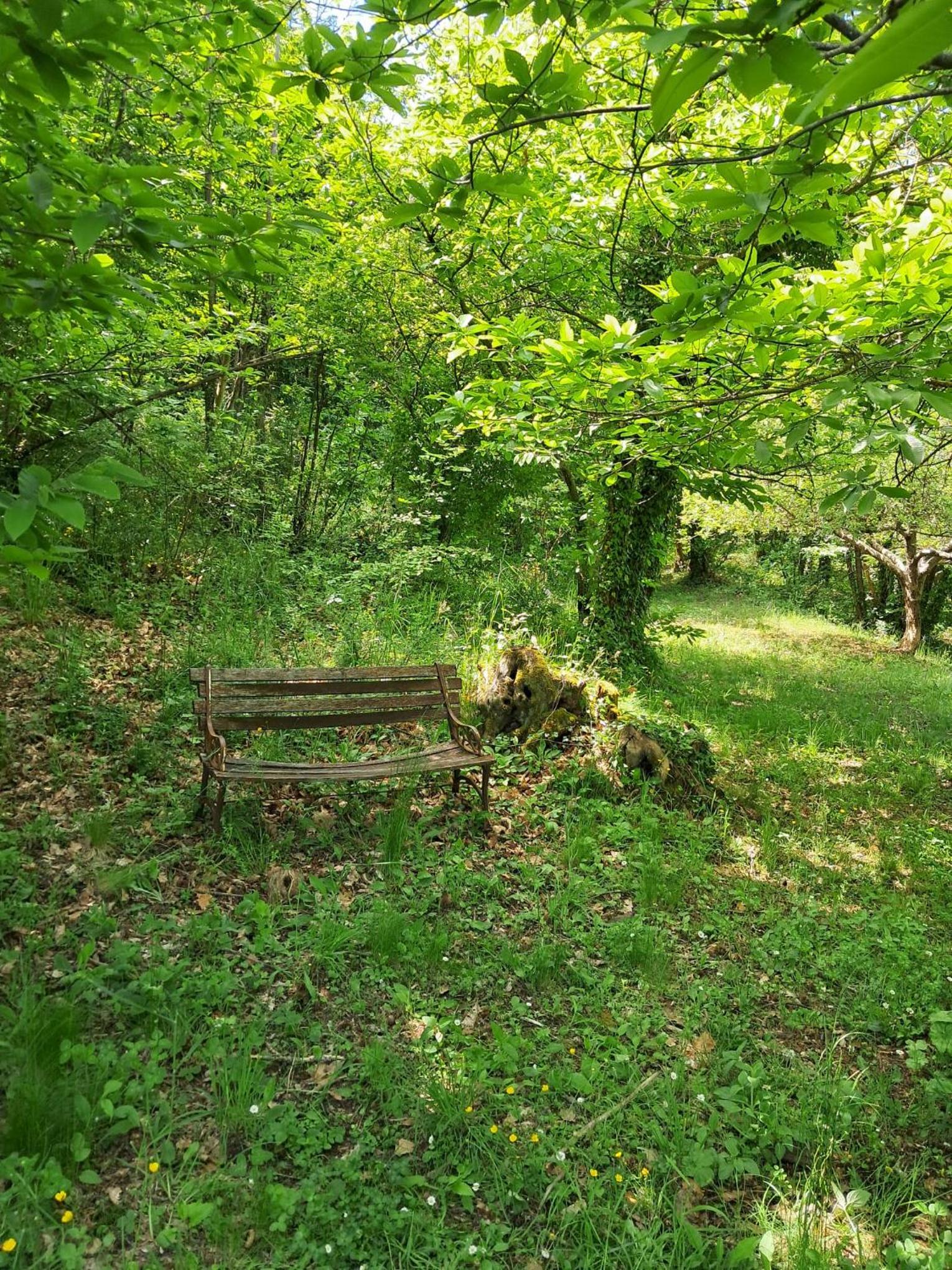 Photo 37