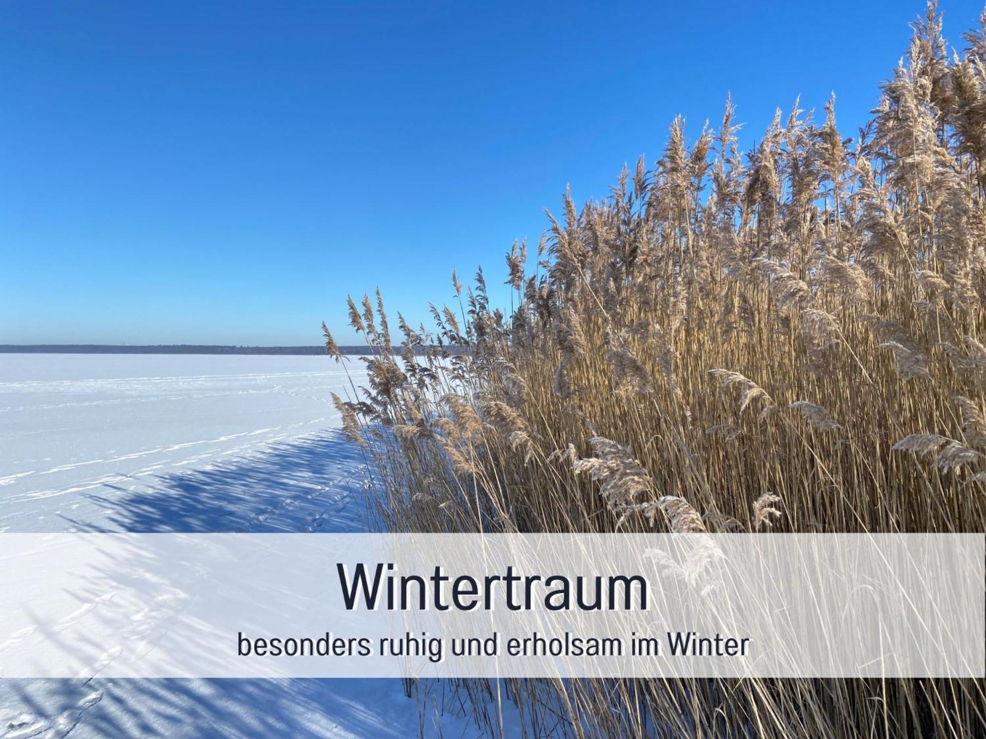 Strandhaus Mathea - ruhige Lage direkt am Fleesensee - Parkplatz, Kamin, Sauna - familienfreundlich - Property Image 23
