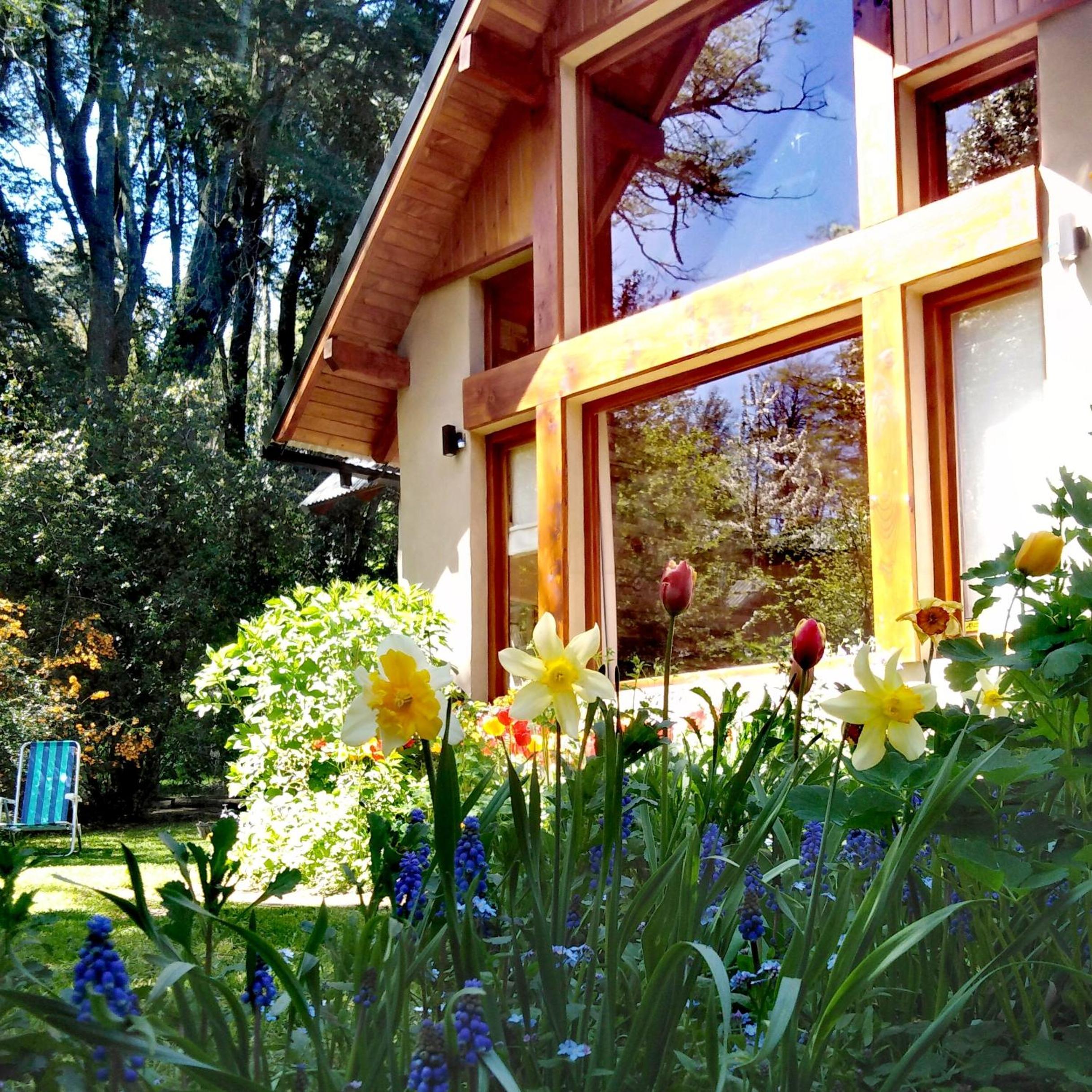 Casa Alma