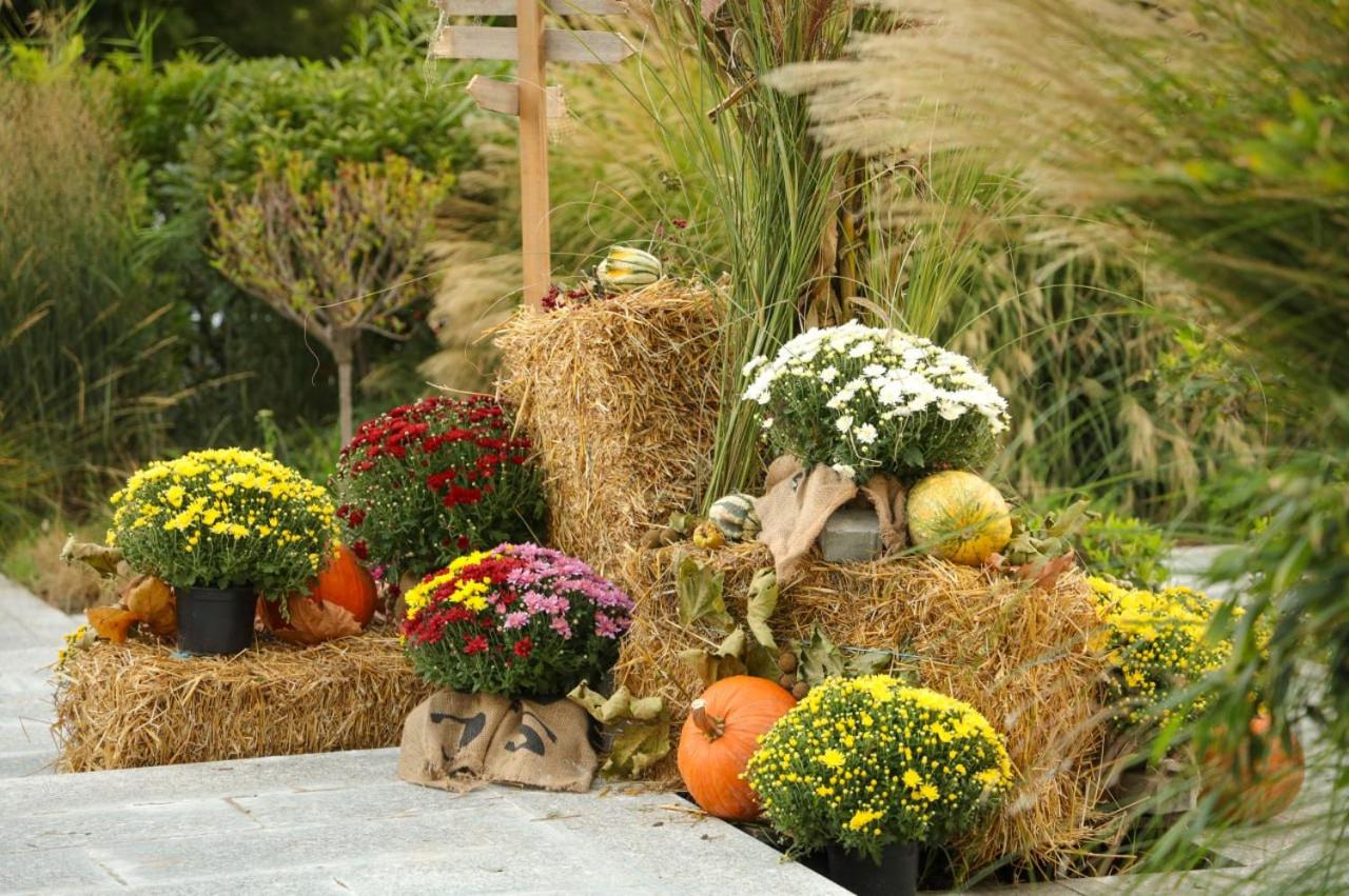 Romantic Holiday Studio