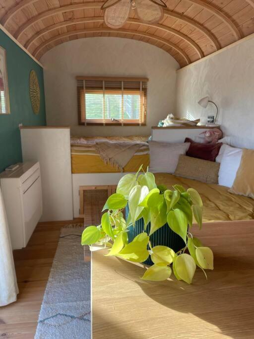 Roulotte en bois tout confort