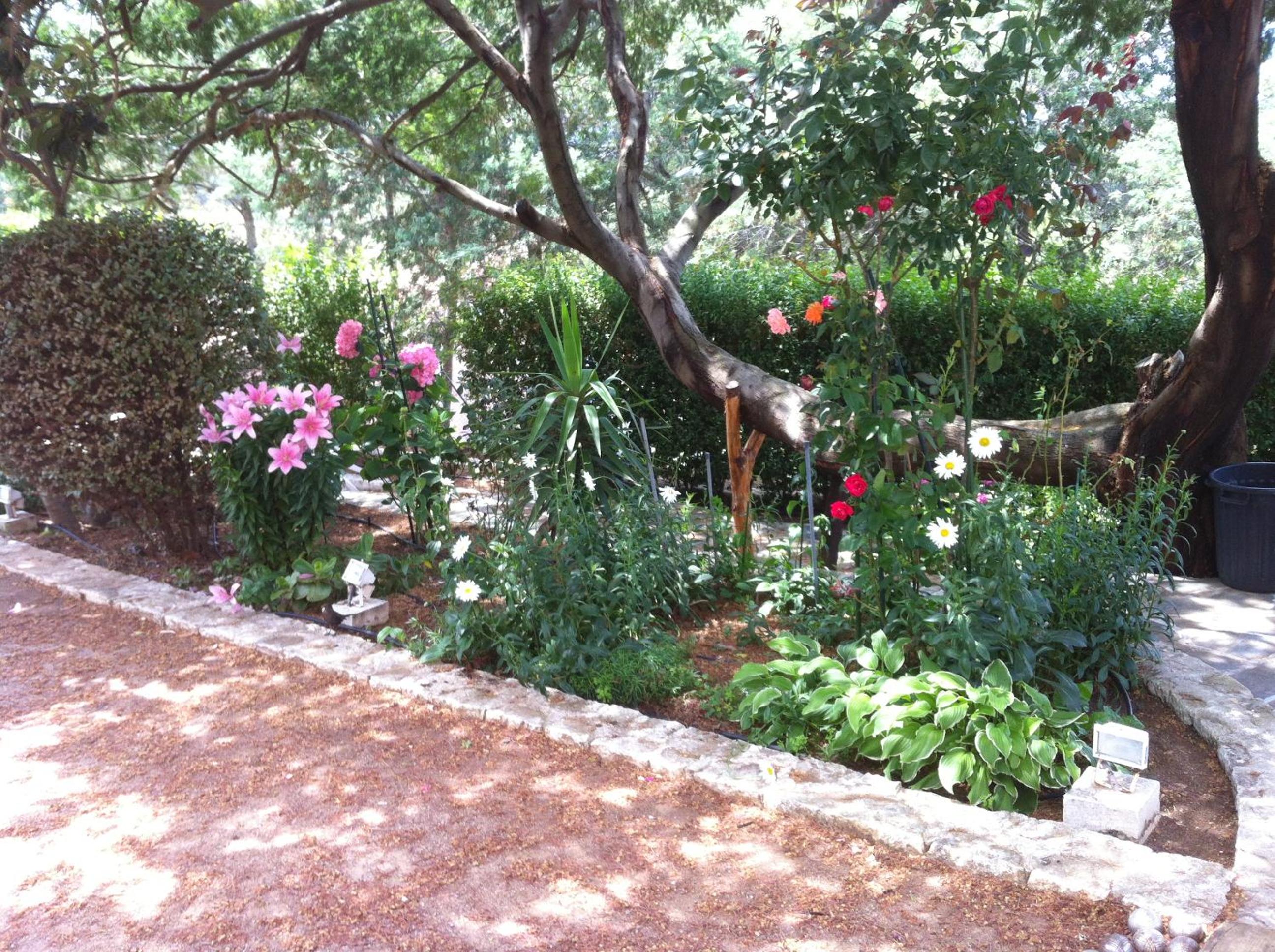 Photo 23