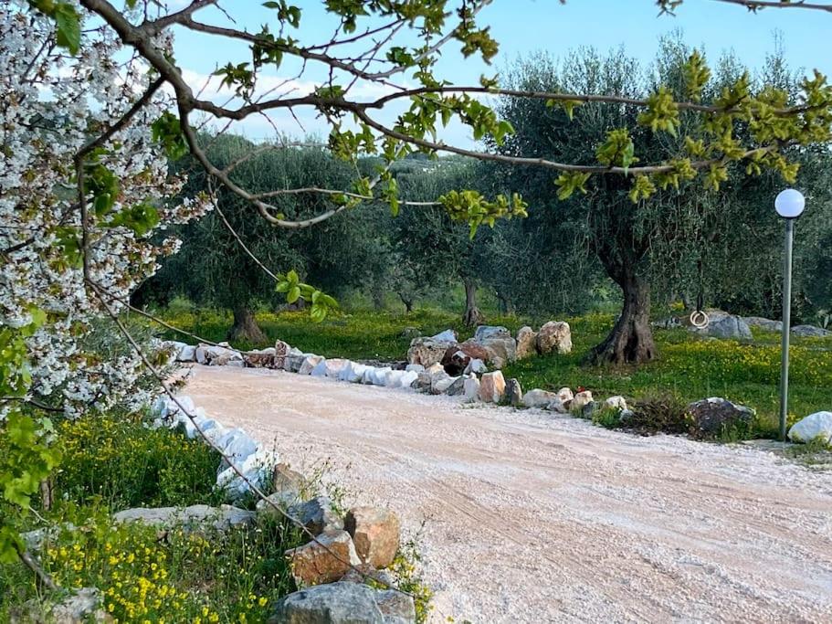 Villa Top of the Hill photo 4