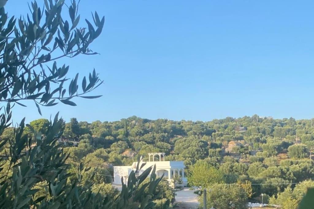 Villa Top of the Hill photo 5