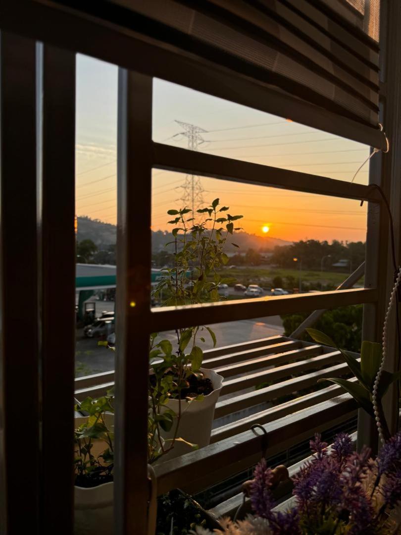 Zania Homestay