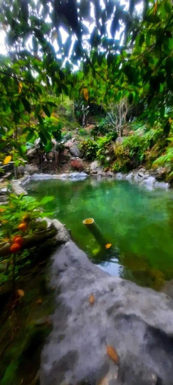 Eco Hostal Tierra de Agua y Fuego