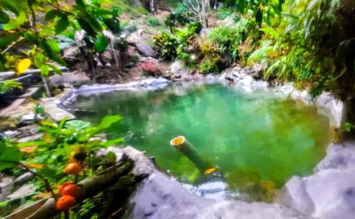 Eco Hostal Tierra de Agua y Fuego