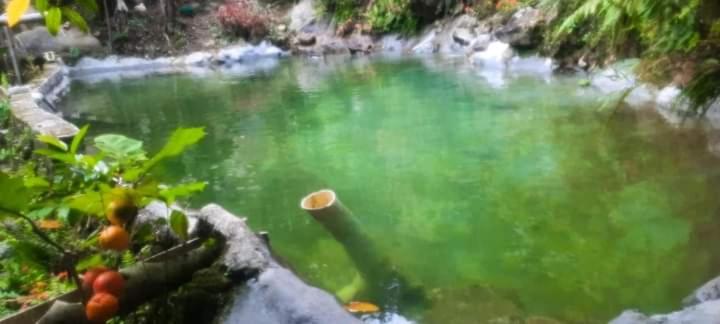 Eco Hostal Tierra de Agua y Fuego