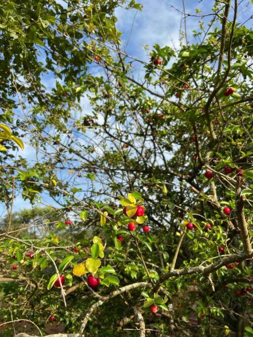 Sítio Ecológico Minuano