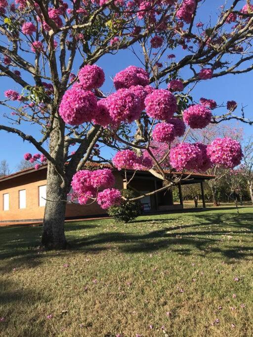 Sítio Ecológico Minuano