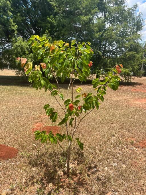 Sítio Ecológico Minuano