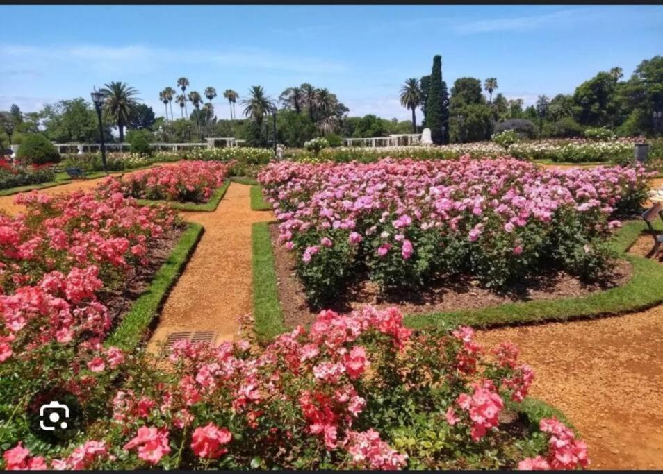 Palermo Nuevo para una excelente estadía