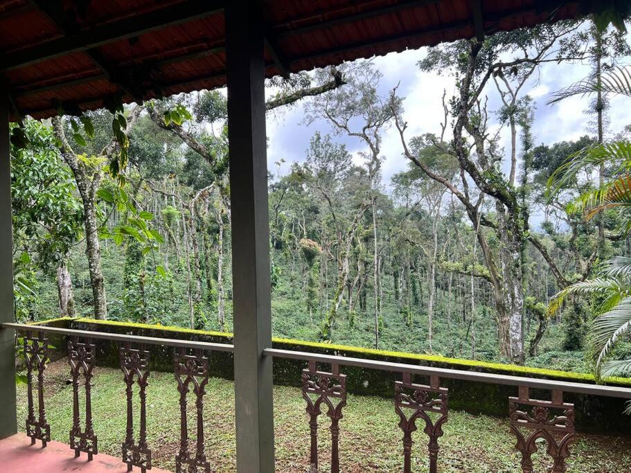 Misty Woods Homestay - Best homestay in Chikmagalur