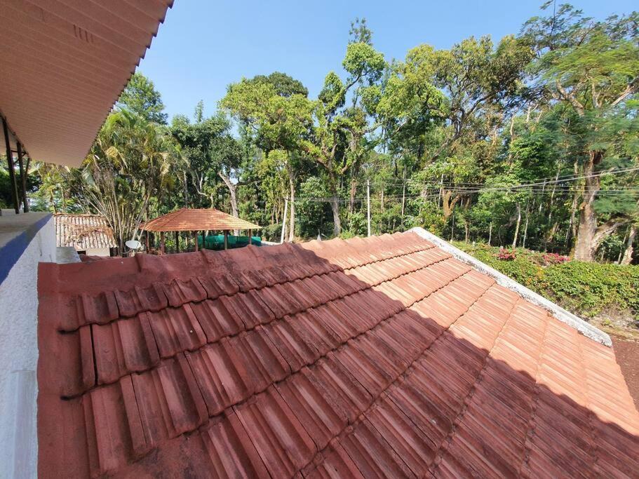 Misty Woods Homestay - Best homestay in Chikmagalur