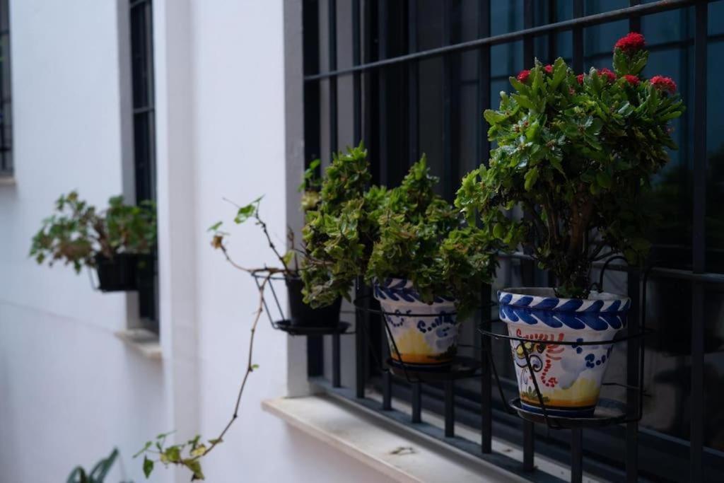 Apartamento acogedor en Triana - wifi view 5